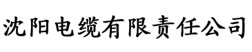 富二代软件电缆厂logo